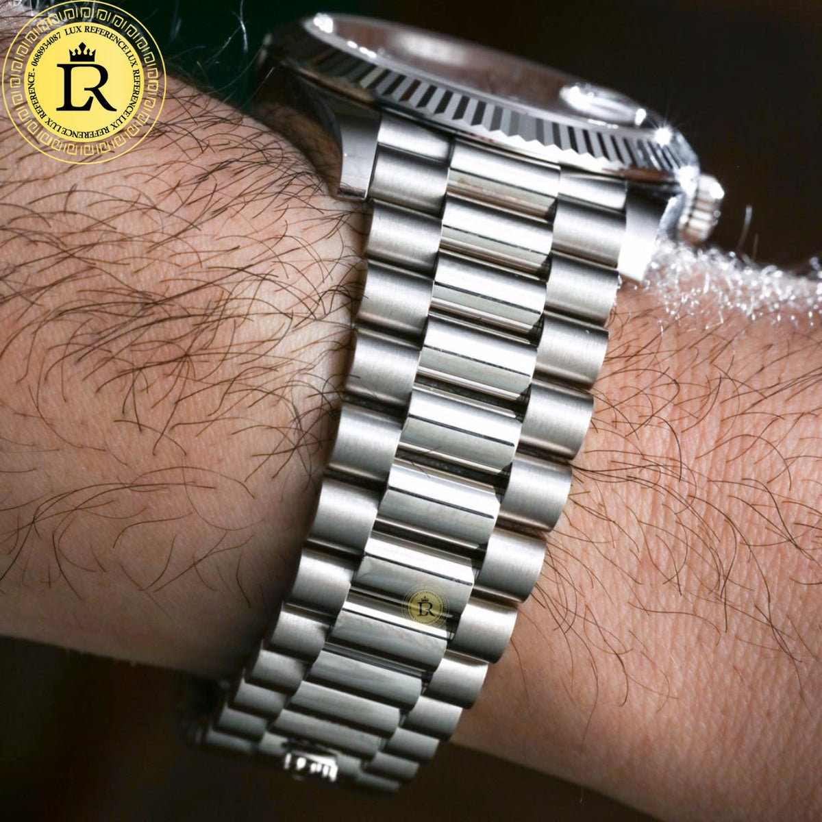 Meridian Presidential Platinum — Meteorite Dial